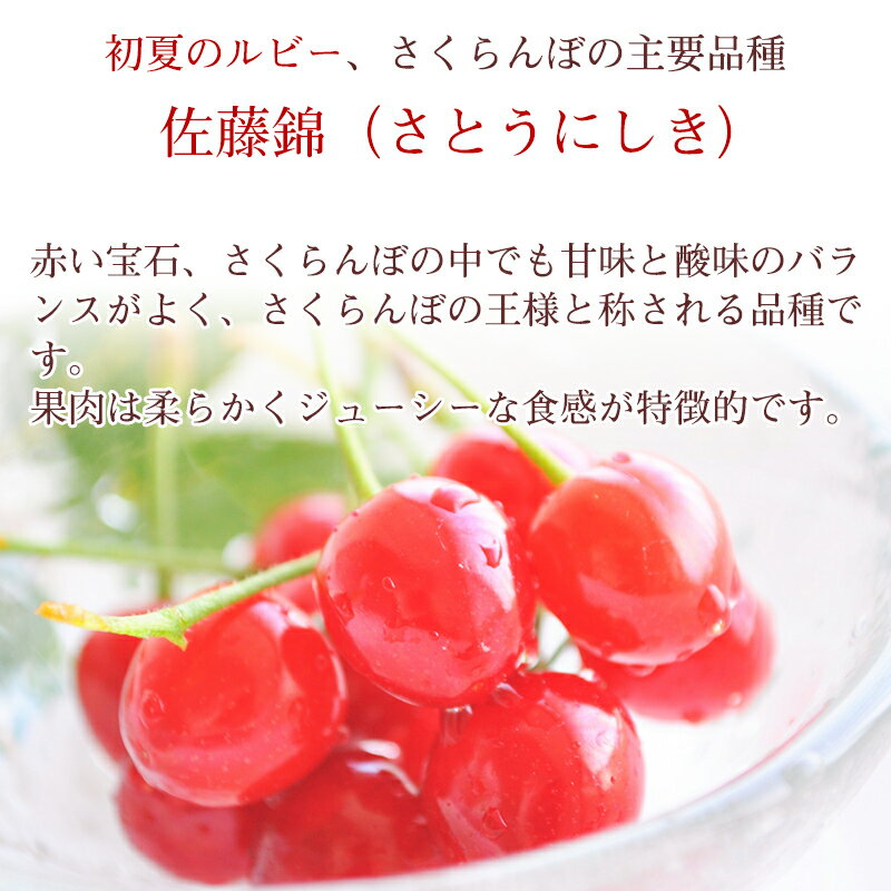 【ふるさと納税】《先行予約》 令和8年産 さくらんぼ 選べる！「佐藤錦」 秀品 500g 1kg Lサイズ 山形県産 2026年産 【2026年6月上旬頃〜下旬頃発送予定】 ※配送不可 沖縄・離島 お取り寄せ 特産 フルーツ 果物 果実 くだもの サクランボ 東北 ふるさと納税 果物 山形 サムネイル2