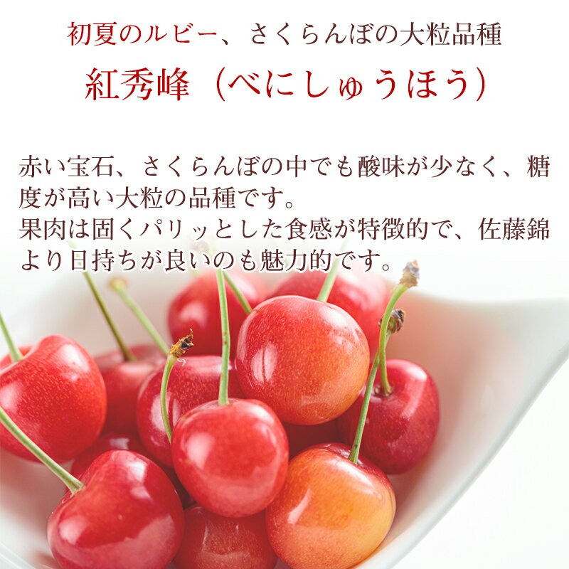 【ふるさと納税】《先行予約》令和8年産 さくらんぼ 選べる！ 「紅秀峰」 秀品 500g 1kg L~2Lサイズ 山形県産 2026年産 【2026年6月中旬頃〜7月上旬頃発送予定】 ※配送不可 沖縄・離島お取り寄せ ご当地 特産 フルーツ 果物 果実 くだもの サクランボ チェリー 東北 サムネイル2