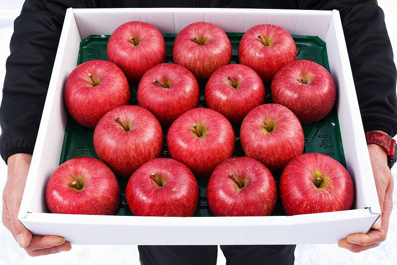 【ふるさと納税】令和7年産 樹上完熟りんご「サンふじ」 5kg（14〜18玉） 秀品 2025年産 山形県産 【2025年12月上旬頃〜下旬頃発送予定】 お取り寄せ ご当地 特産 産地直送 果物 フルーツ 林檎 リンゴ デザート おやつ 製菓 東北 5キロ サムネイル2