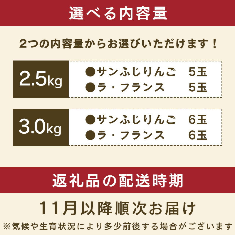 【ふるさと納税】 サンふじりんご ラ・フランス詰合せ 2.5kg - 3kg 【2025年11月頃から2025年12月中旬頃】山形県産 お取り寄せ セット 果物 くだもの フルーツ 果実 産地直送 令和7年産 2025年産 洋梨 ラフランス りんご リンゴ 林檎 山形県 寒河江市 サムネイル2