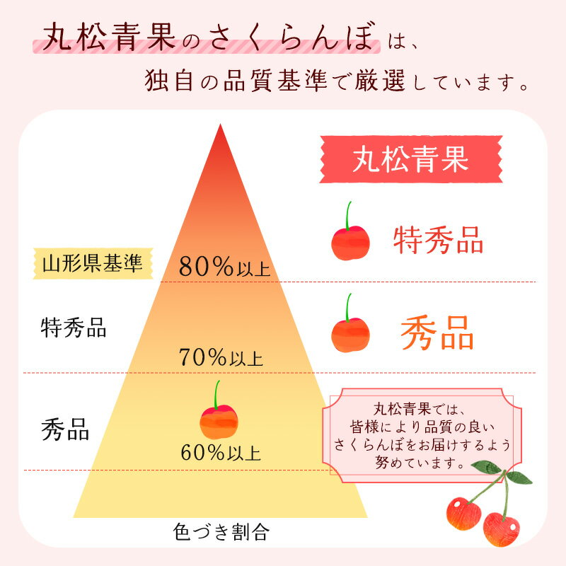 【ふるさと納税】《先行予約》 令和8年産 さくらんぼ 選べる！「佐藤錦」 秀品 500g 1kg Lサイズ 山形県産 2026年産 【2026年6月上旬頃〜下旬頃発送予定】 ※配送不可 沖縄・離島 お取り寄せ 特産 フルーツ 果物 果実 くだもの サクランボ 東北 ふるさと納税 果物 山形 - 画像3