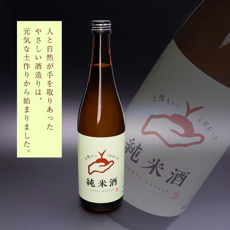 【ふるさと納税】銀嶺月山 こだわり梅酒と純米酒セット（720ml×2本） ／ お取り寄せ リキュール お酒 地酒 日本酒 飲み比べ 女子会 飲み会 ストレート ロック ソーダ割り お湯割り 支援 応援 晩酌 美味しい 果実酒 土産 国産 東北 山形 国産 月山酒造 サムネイル2