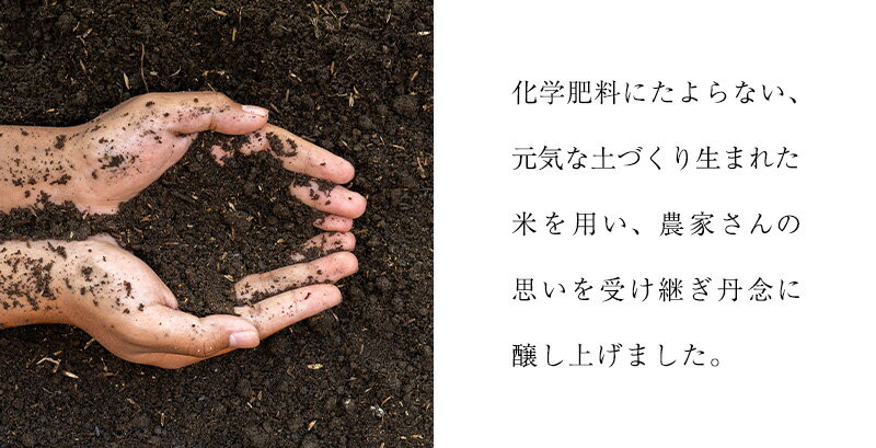 【ふるさと納税】銀嶺月山 こだわり梅酒と純米酒セット（720ml×2本） ／ お取り寄せ リキュール お酒 地酒 日本酒 飲み比べ 女子会 飲み会 ストレート ロック ソーダ割り お湯割り 支援 応援 晩酌 美味しい 果実酒 土産 国産 東北 山形 国産 月山酒造 サムネイル3