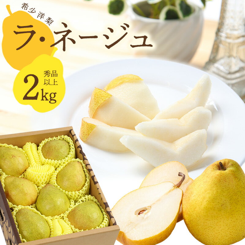 洋梨「ラ・ネージュ」 2kg（5〜10玉） 秀品以上 《化粧箱入り》 サイズおまかせ 山形県産 【2025年11月下旬頃〜12月下旬頃発送予定】／ 果物 フルーツ くだもの お取り寄せ ご当地 特産 東北 冬 ラネージュ デザート 贈答 2025年産 令和7年産 2キロ
