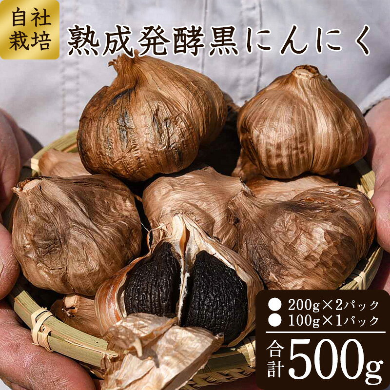 こだわり農家の「 発酵熟成 黒にんにく 500g」 山形県産 ／ お取り寄せ ご当地 グルメ 特産 健康 ヘルシー バゲット 小分け 個包装 セット 詰合せ 詰め合わせ ニンニク 東北 ふるさと納税 加工品