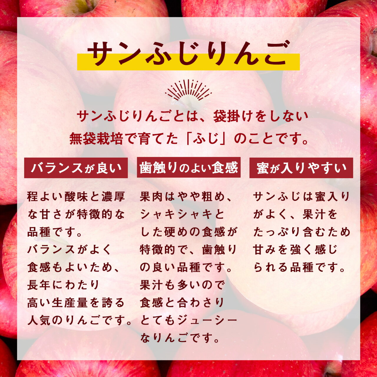 【ふるさと納税】《先行予約》 令和8年産 りんご サンふじ 秀品 5kg（12 - 20玉） 山形県産 【2026年11月頃より順次発送予定】 2026年産 山形産 お取り寄せ ご当地 特産 産地直送 果物 フルーツ 新鮮 季節 林檎 デザート おやつ 山形県産 山形産 5キロ - 画像2
