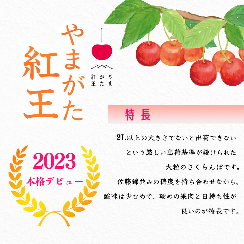 【ふるさと納税】《先行予約》山形県産 さくらんぼ 「やまがた紅王」3Lサイズ以上 秀品 15粒（約135g）化粧箱 【2026年6月中旬頃〜6月下旬頃発送予定】※配送不可 沖縄・離島／ 2026年産 令和8年産 山形県産 フルーツ 果物 果実 くだもの サクランボ 特産 東北 山形 サムネイル2