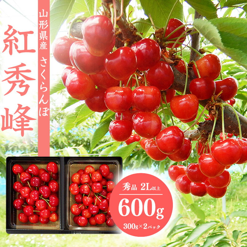 《先行予約》山形県産 さくらんぼ 「紅秀峰」2Lサイズ以上 秀品 600g（300g×2） 化粧箱 【2026年6月中旬頃〜7月上旬頃発送予定】※配送不可 沖縄・離島 2026年産 令和8年産 フルーツ 果物 果実 くだもの サクランボ 特産 東北 山形 ふるさと納税 紅秀峰