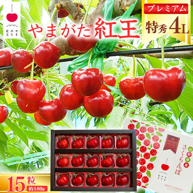 《先行予約》山形県産 さくらんぼ 「やまがた紅王 プレミアム」4L 特秀品 15粒（約180g）化粧箱 【2026年6月中旬頃〜6月下旬頃発送予定】※配送不可 沖縄・離島 ／ 2026年産 令和8年産 フルーツ 果物 果実 くだもの サクランボ 特産 東北 山形 premium