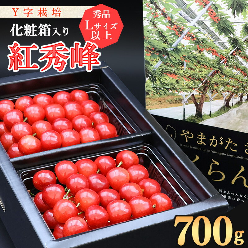 《先行予約！》山形県産 さくらんぼ《こだわりのY字仕立て栽培》「紅秀峰」700g 秀品 Lサイズ以上 化粧箱入り 【2026年6月中旬頃〜7月上旬頃発送予定】※配送不可 沖縄・離島 2026年産 令和8年産 フルーツ 果物 高級 山形 山形県 生産者直送