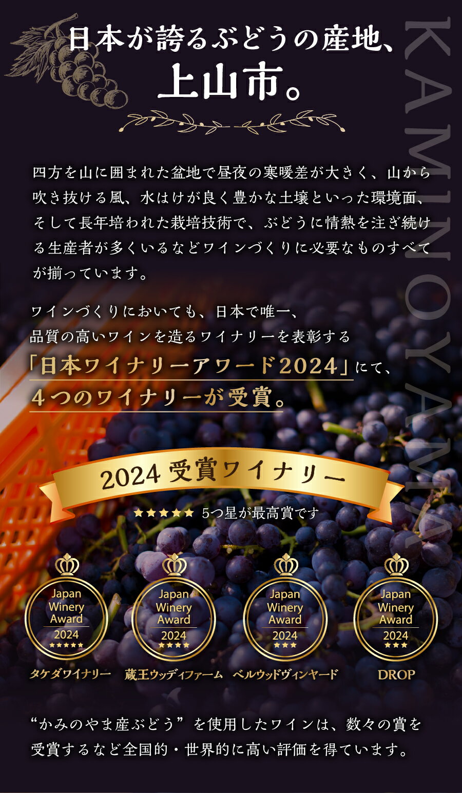 【ふるさと納税】タケダワイナリー ルージュ（辛口）と シャインマスカット の セット ワイン 赤ワイン 750ml フルーツ 果物 種なし ぶどう 1房 600g以上 山形県 上山市 0141-2501 サムネイル3