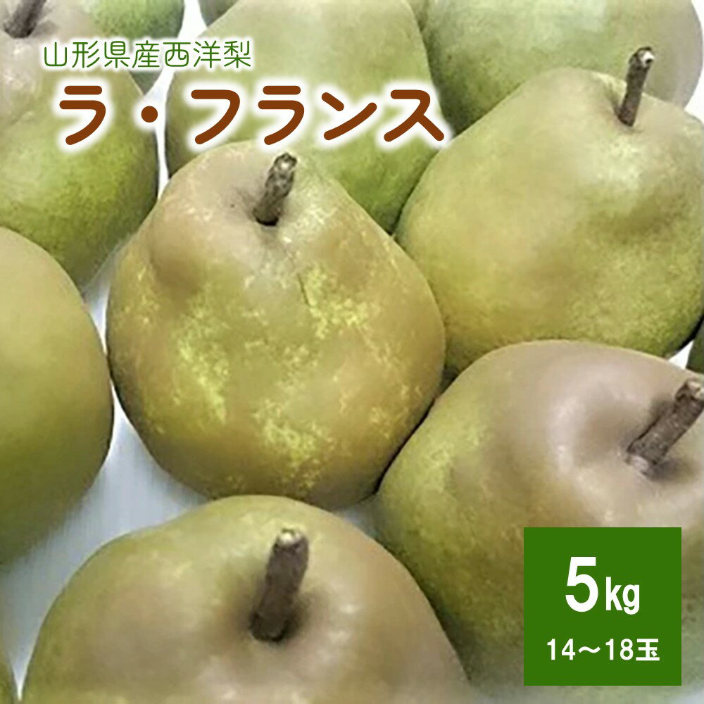 西洋梨 (ラ・フランス) 5kg 14～18玉 ご家庭用 ラフランス 洋なし 洋ナシ 洋梨 フルーツ くだもの 果物 産地直送 お取り寄せ グルメ 東北 山形県 上山市 0009-2510
