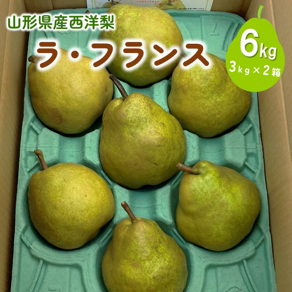 西洋梨 ラ・フランス 6kg 大玉 ご家庭用 3kg × 2箱 果物 フルーツ 洋なし お取り寄せ 山形 産地直送 送料無料 山形県 上山市 0009-2512