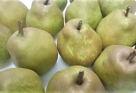 【ふるさと納税】西洋梨 (ラ・フランス) 5kg 14～18玉 ご家庭用 ラフランス 洋なし 洋ナシ 洋梨 フルーツ くだもの 果物 産地直送 お取り寄せ グルメ 東北 山形県 上山市 0009-2510 サムネイル2