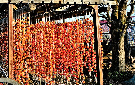 【ふるさと納税】蔵王つるし柿 250g×6パック（S～Mサイズ）種なし 干し柿 干柿 ドライフルーツ フルーツ 果物 くだもの スイーツ 特産品 お取り寄せグルメ 和菓子 東北 山形県 上山市 0015-2507 サムネイル3