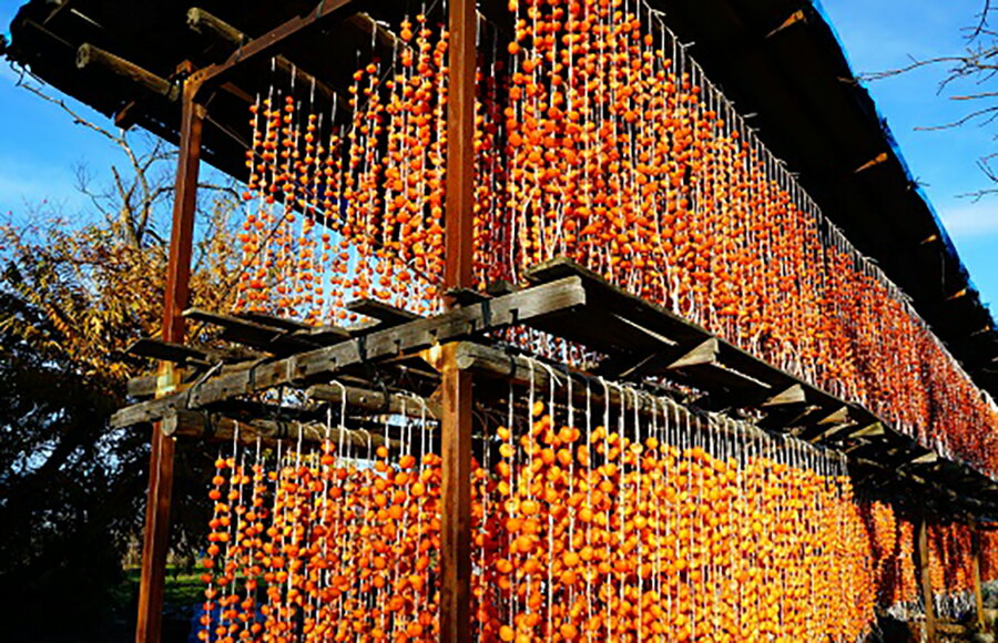 【ふるさと納税】 紅干し柿 250g×4パック ( M ～ L サイズ ) 干し柿 干柿 ドライフルーツ フルーツ 果物 くだもの スイーツ 特産品 お取り寄せグルメ 和菓子 東北 山形県 上山市 0015-2509 サムネイル2