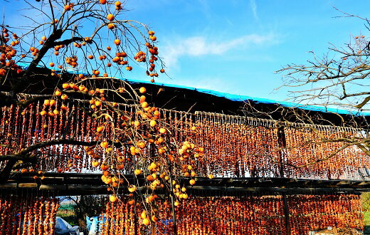 【ふるさと納税】 紅干し柿 250g × 6パック（ Sサイズ ）干し柿 干柿 ドライフルーツ フルーツ 果物 くだもの スイーツ 特産品 お取り寄せグルメ 和菓子 東北 山形県 上山市 0015-2508 サムネイル2