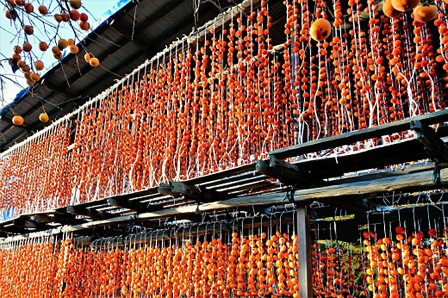 【ふるさと納税】紅干し柿 たばね柿 32玉 1連 干し柿 干柿 ドライフルーツ フルーツ 果物 くだもの スイーツ 特産品 お取り寄せグルメ 和菓子 東北 山形県 上山市 0015-2511 サムネイル2