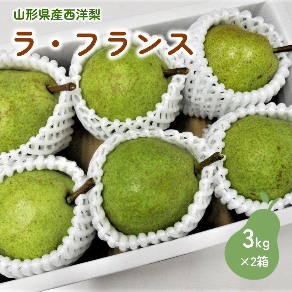 西洋梨 (ラ・フランス) 3kg 以上 × 2箱 7L 大玉 秀品 フルーツ 果物 お取り寄せ 送料無料 山形県 上山市 0017-2522