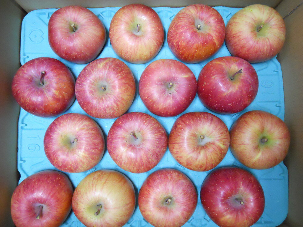 【ふるさと納税】りんご (ふじ) 5kg ご家庭用 無袋栽培 10～20玉 果物 フルーツ お取り寄せ 産地直送 送料無料 山形県 上山市 0017-2531 サムネイル3