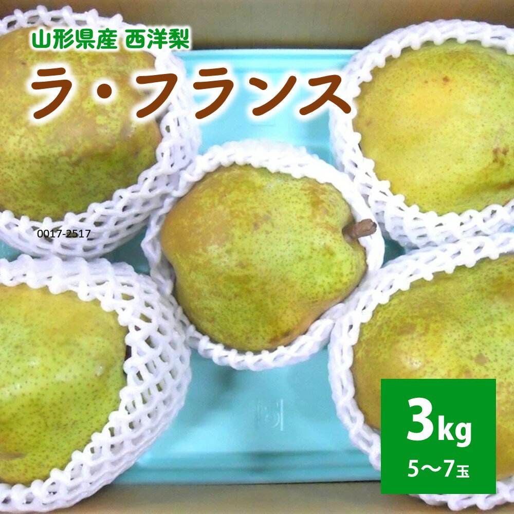 西洋梨 ( ラ・フランス ) 3kg 大玉 ご家庭用 フルーツ 果物 お取り寄せ 送料無料 山形県 上山市 0017-2517