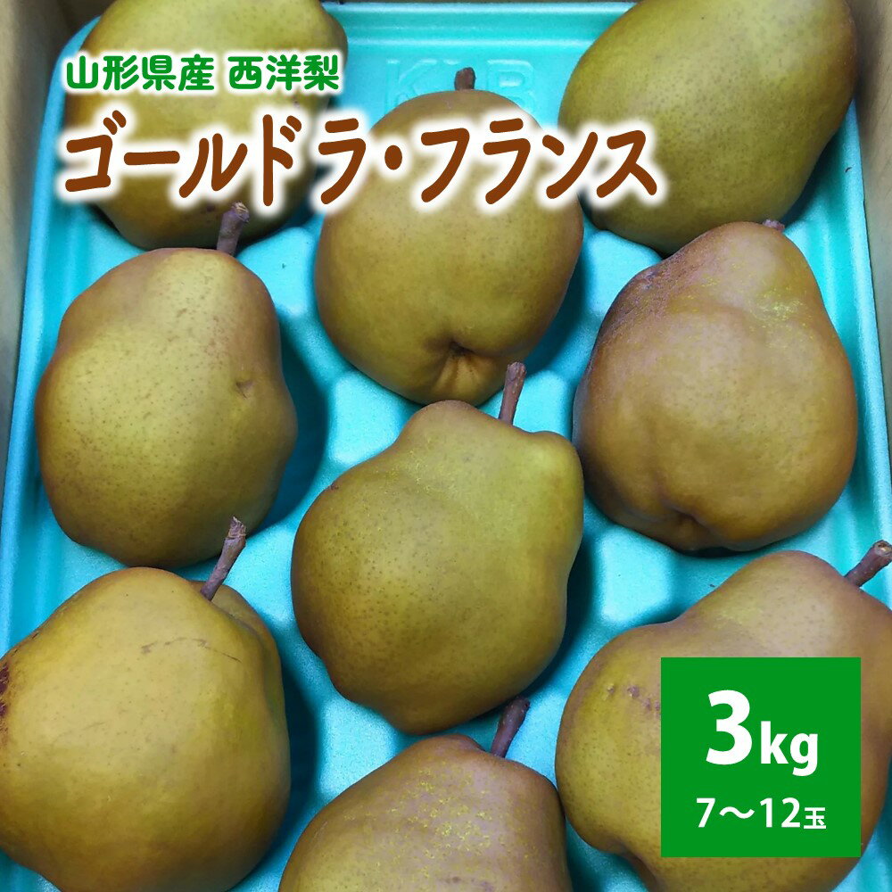 西洋梨 ( ゴールドラ・フランス ) 3kg ご家庭用 山形県 上山市 0017-2523