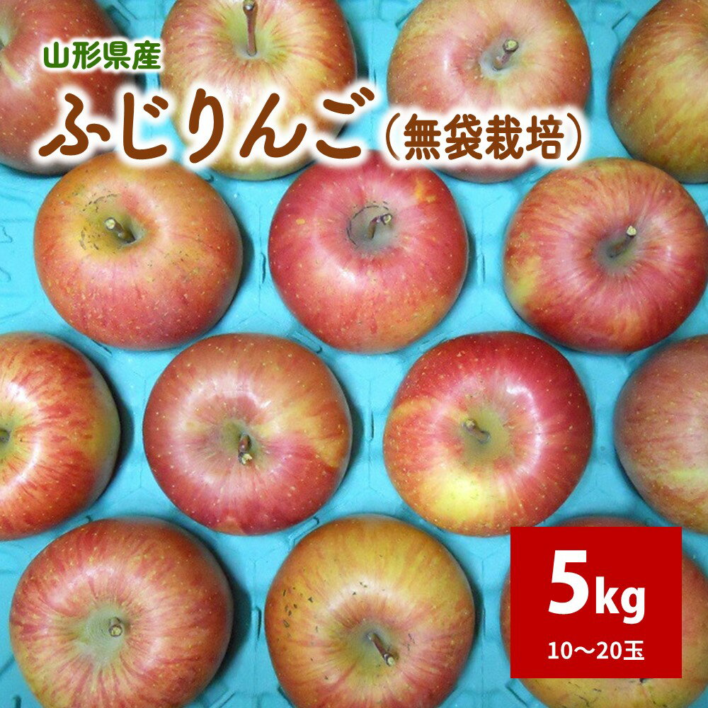 りんご (ふじ) 5kg ご家庭用 無袋栽培 10～20玉 果物 フルーツ お取り寄せ 産地直送 送料無料 山形県 上山市 0017-2531