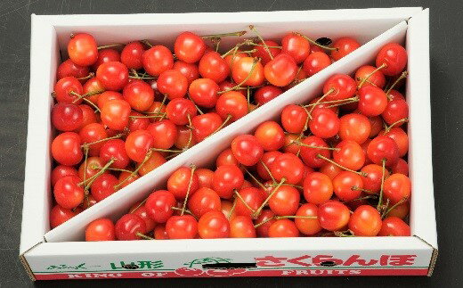 【ふるさと納税】 さくらんぼ ( 佐藤錦 か 紅秀峰 ) 1kg Lサイズ 秀品 バラ詰め 山形県 上山市 0020-2609 サムネイル2