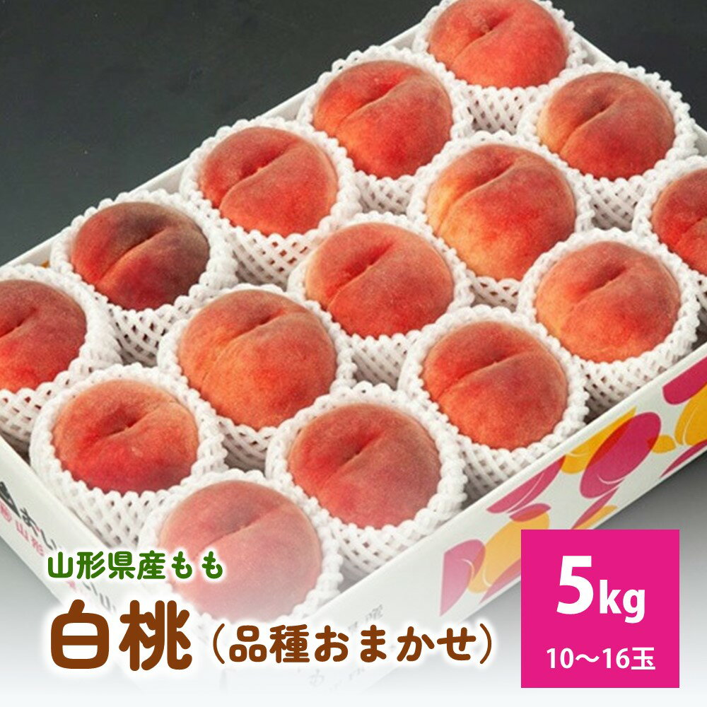 白桃（ 品種 おまかせ ）5kg 秀品 フルーツ 果物 桃 もも 山形 産地直送 お取り寄せ 送料無料 山形県 上山市 0020-2613