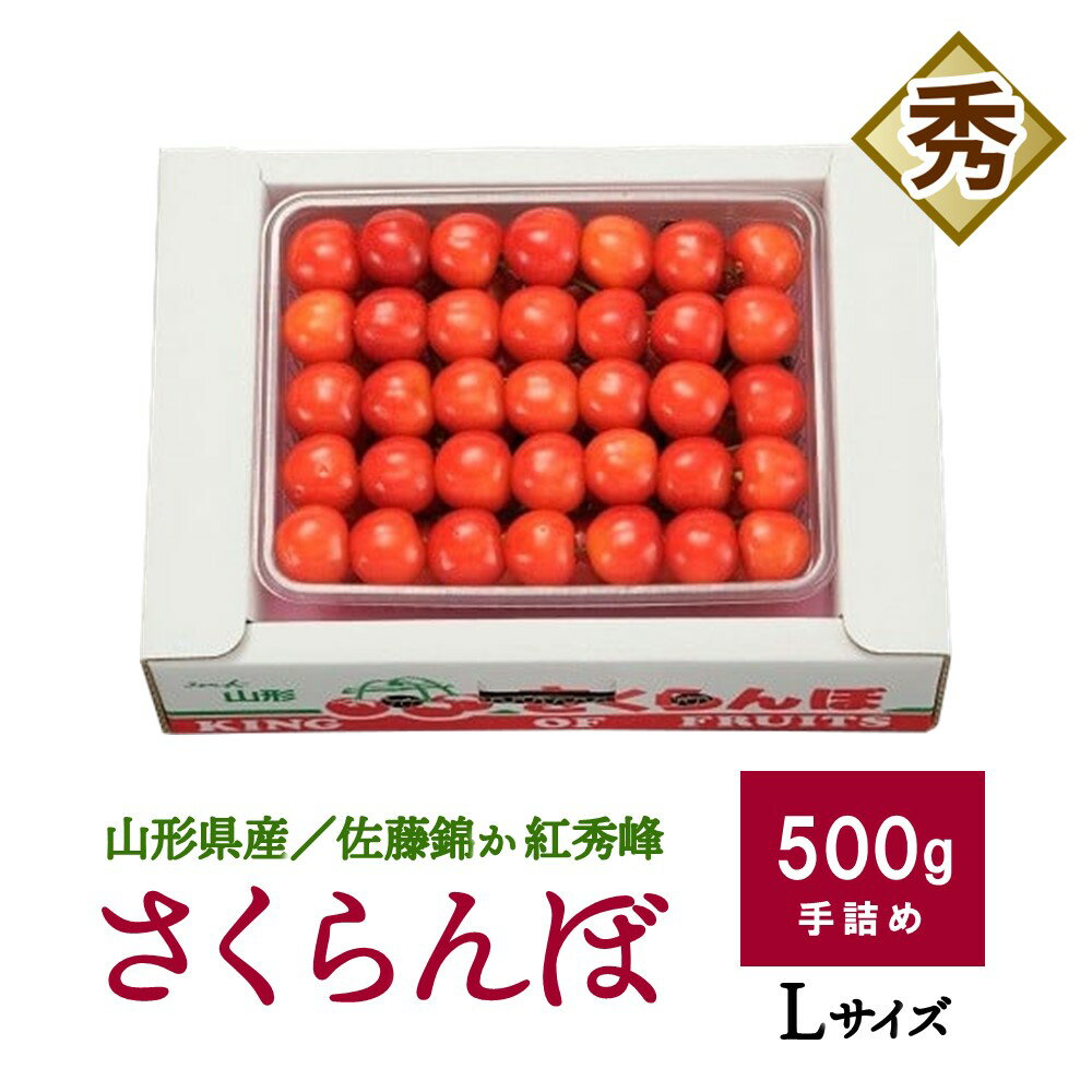 さくらんぼ ( 佐藤錦 か 紅秀峰 ) 500g 手詰め 山形県 上山市 0020-2608