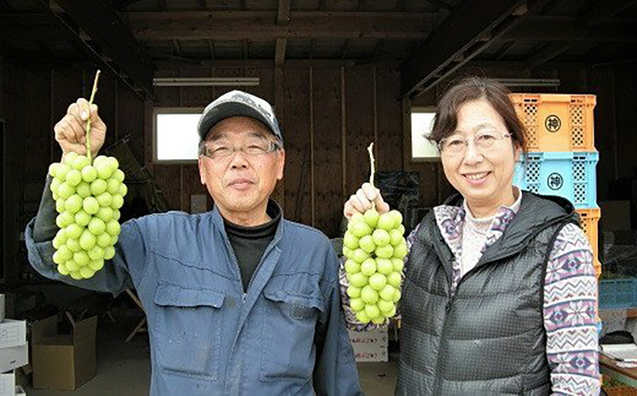 【ふるさと納税】 ぶどう シャインマスカット 大房 1房 (850g〜950g) 秀品 以上 化粧箱詰め 果物 フルーツ お取り寄せ 産地直送 送料無料 山形県 上山市 0025-2506 サムネイル2