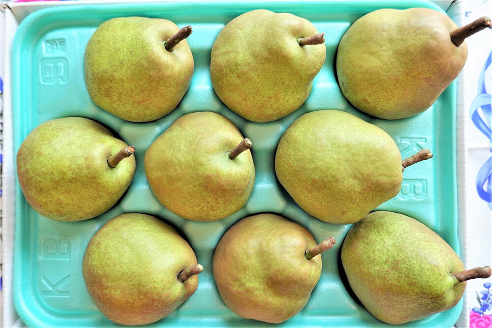 【ふるさと納税】 西洋梨 ラ・フランス 3kg 秀品 10～8玉 2L～4L サイズ 果物 フルーツ 洋梨 お取り寄せ 産地直送 送料無料 山形県 上山市 0025-2513 サムネイル2