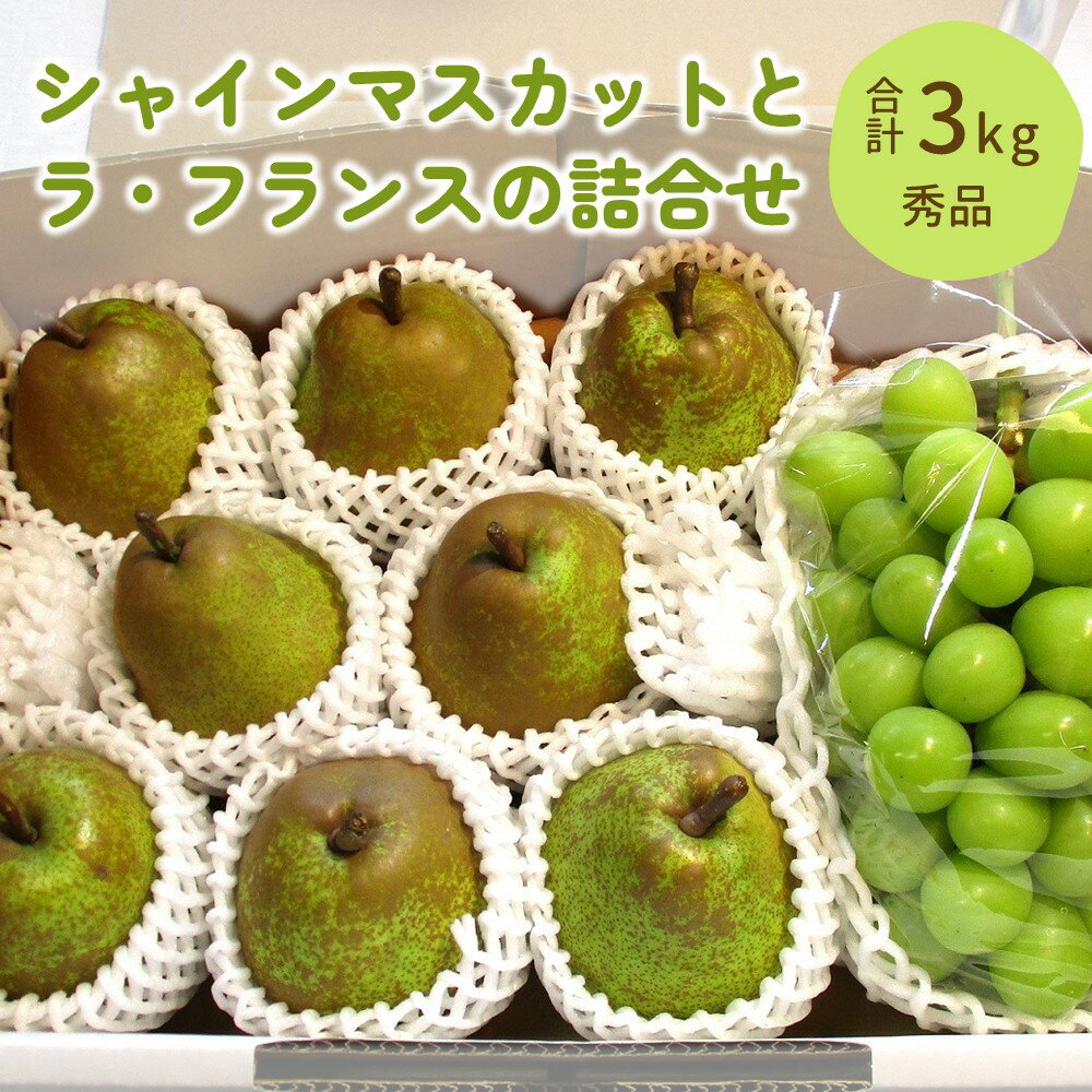 シャインマスカット と ラ・フランス の詰合せ 3kg 果物 フルーツ ぶどう ラフランス 洋梨 お取り寄せ 産地直送 送料無料 山形県 上山市 0025-2511