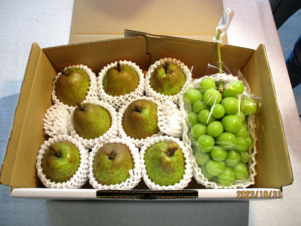 【ふるさと納税】シャインマスカット と ラ・フランス の詰合せ 3kg 果物 フルーツ ぶどう ラフランス 洋梨 お取り寄せ 産地直送 送料無料 山形県 上山市 0025-2511 サムネイル2