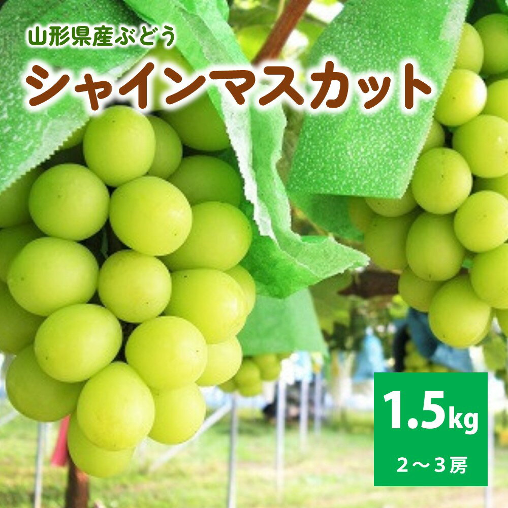 ぶどう（シャインマスカット）1.5kg ご家庭用 山形県 上山市 0025-2510