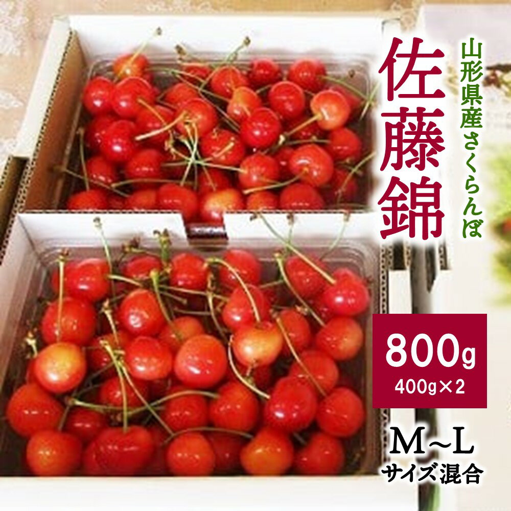 さくらんぼ ( 佐藤錦 ) 800g ご家庭用 果物 フルーツ 山形県 上山市 0025-2602