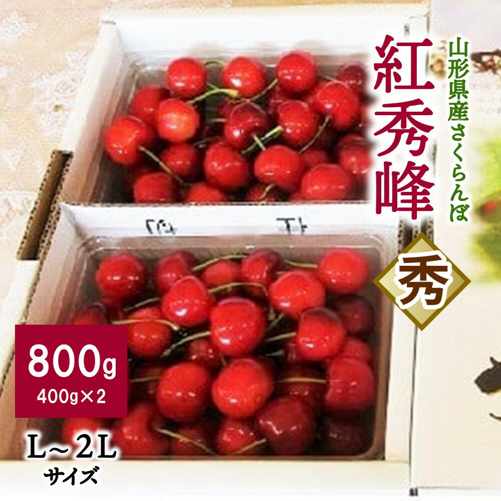 さくらんぼ（紅秀峰）800g 果物 フルーツ 山形県 上山市 0025-2604
