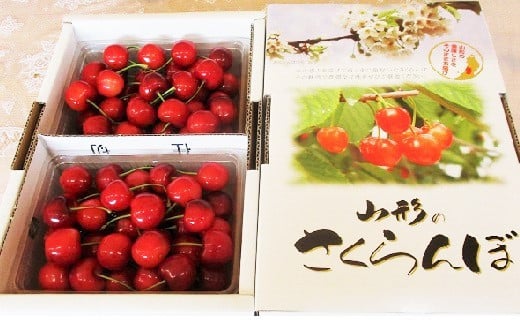 【ふるさと納税】さくらんぼ（紅秀峰）800g 果物 フルーツ 山形県 上山市 0025-2604 サムネイル2