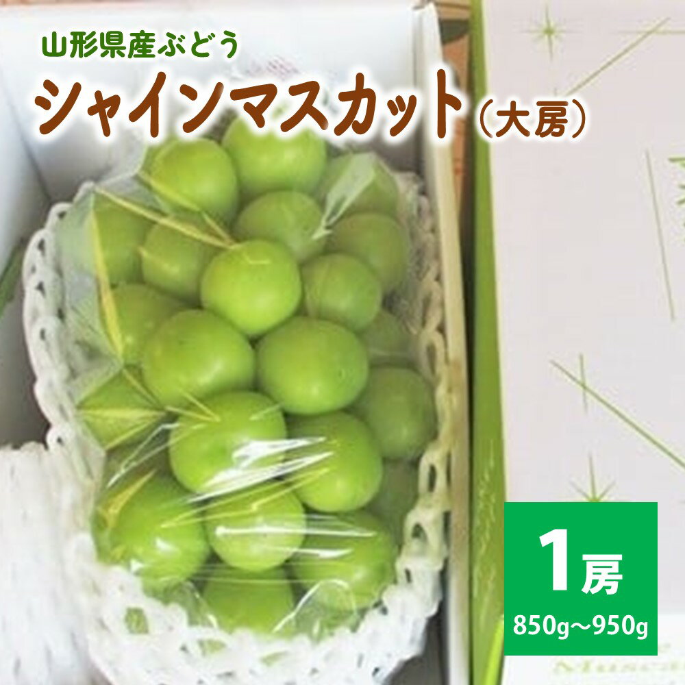 ぶどう シャインマスカット 大房 1房 (850g〜950g) 秀品 以上 化粧箱詰め 果物 フルーツ お取り寄せ 産地直送 送料無料 山形県 上山市 0025-2506