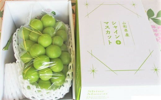 【ふるさと納税】 ぶどう シャインマスカット 大房 1房 (850g〜950g) 秀品 以上 化粧箱詰め 果物 フルーツ お取り寄せ 産地直送 送料無料 山形県 上山市 0025-2506 サムネイル3