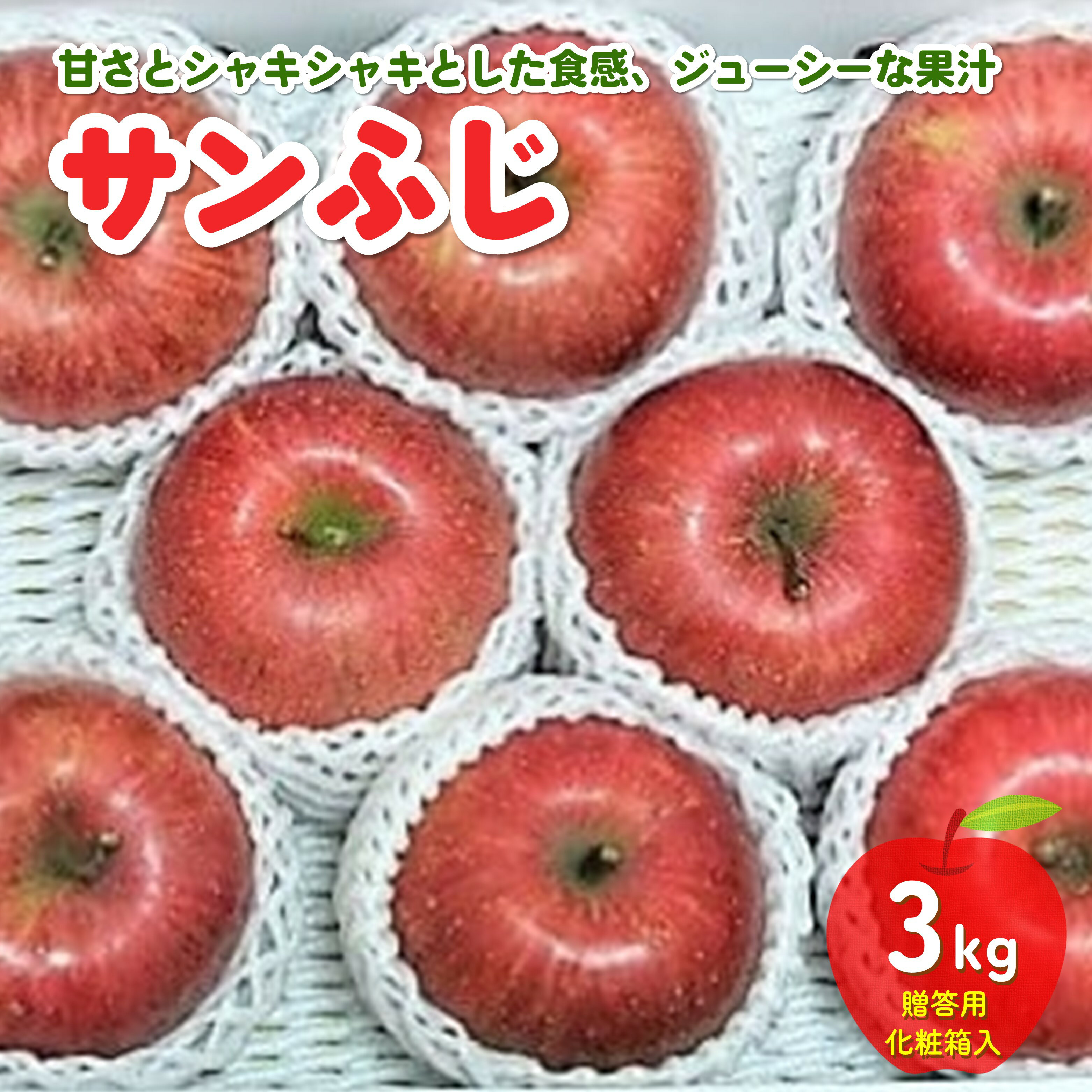 りんご ( サンふじ ) 3kg 贈答用 化粧箱 入り フルーツ 果物 リンゴ 山形 産地直送 送料無料 お取り寄せ 山形県 上山市 0030-2511