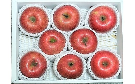 【ふるさと納税】 りんご ( サンふじ ) 3kg 贈答用 化粧箱 入り フルーツ 果物 リンゴ 山形 産地直送 送料無料 お取り寄せ 山形県 上山市 0030-2511 サムネイル2