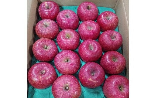 【ふるさと納税】 りんご（サンふじ）5kg 8～16玉 ご家庭用 フルーツ 山形県 上山市 0030-2513 サムネイル2