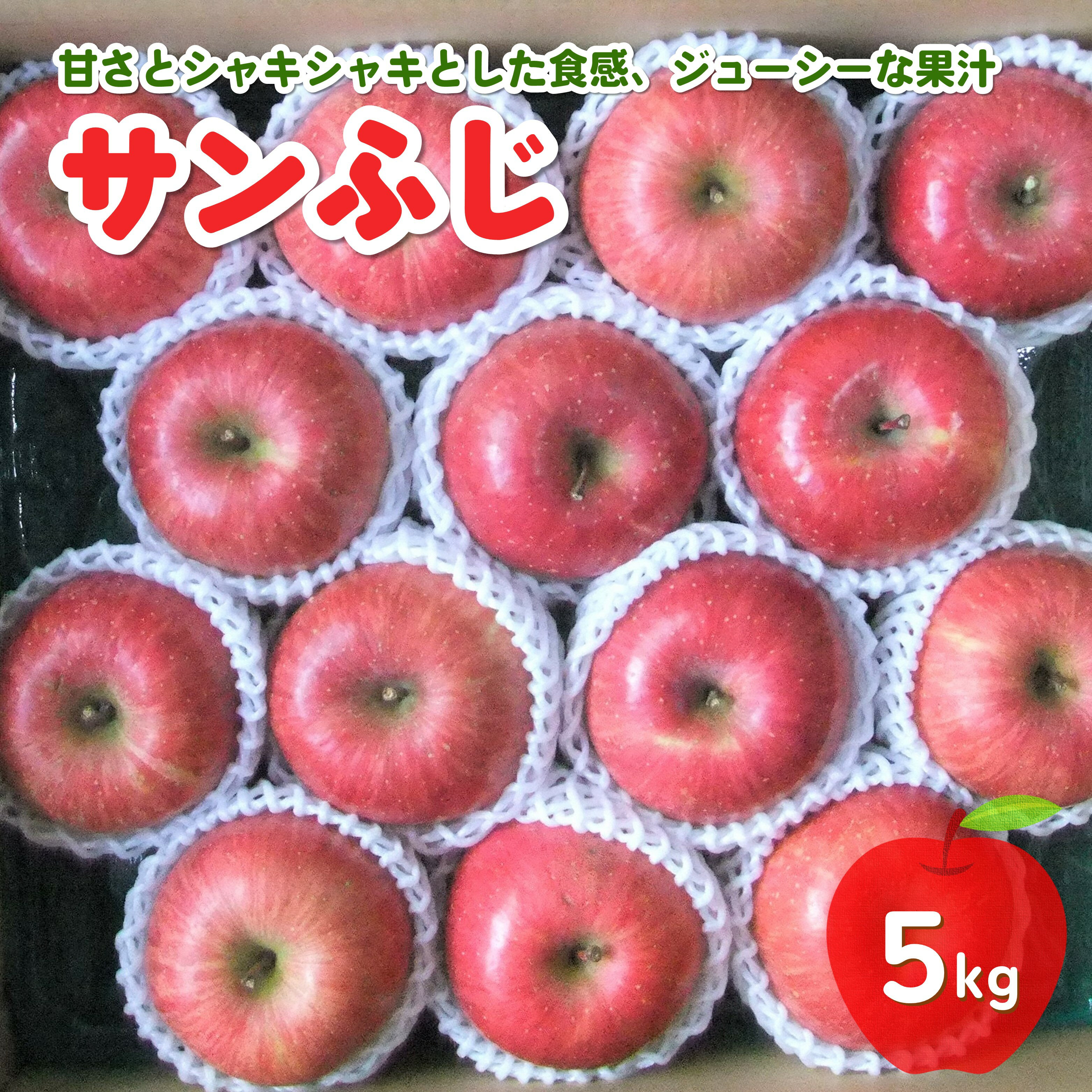りんご ( サンふじ ) 5kg フルーツ 果物 リンゴ 山形 産地直送 送料無料 お取り寄せ 山形県 上山市 0030-2514
