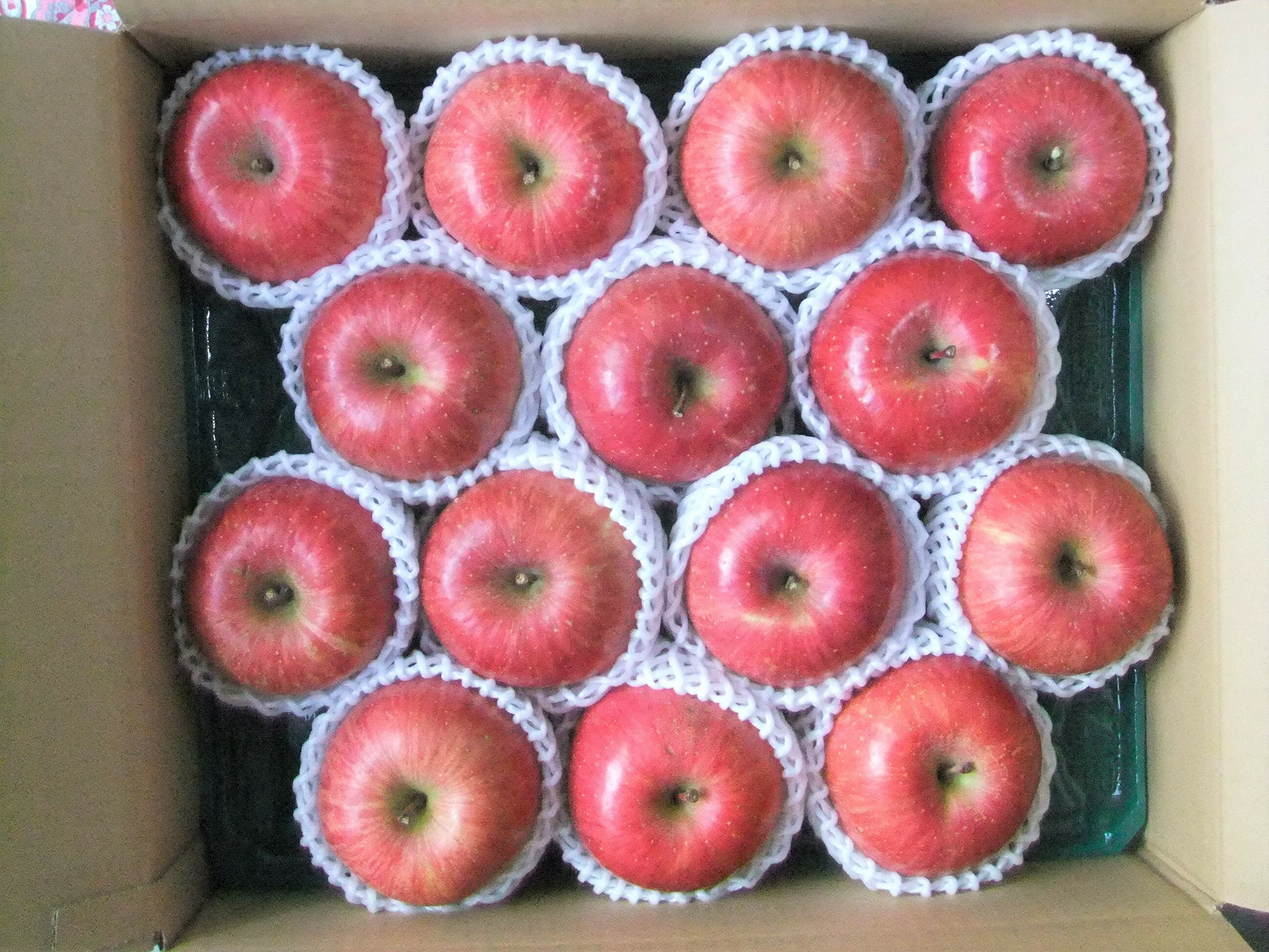 【ふるさと納税】 りんご ( サンふじ ) 5kg フルーツ 果物 リンゴ 山形 産地直送 送料無料 お取り寄せ 山形県 上山市 0030-2514 サムネイル2