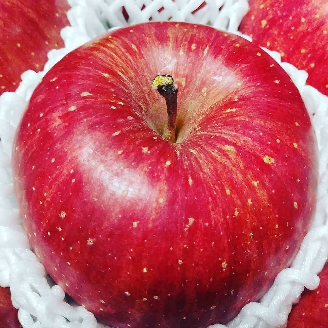 【ふるさと納税】 りんご ( サンふじ ) 5kg フルーツ 果物 リンゴ 山形 産地直送 送料無料 お取り寄せ 山形県 上山市 0030-2514 サムネイル3