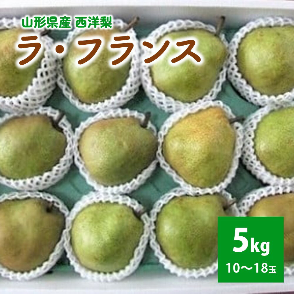 西洋梨 ラ・フランス 5kg フルーツ 山形県 上山市 0030-2510