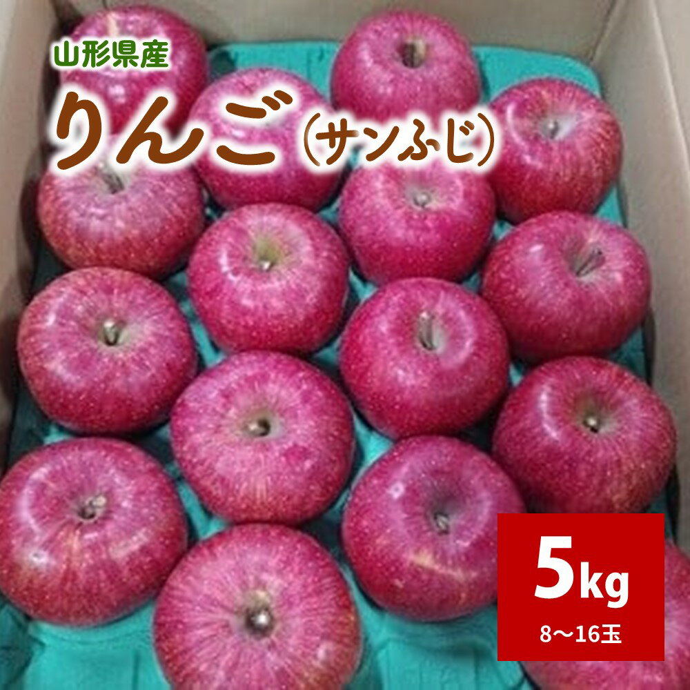 りんご（サンふじ）5kg 8～16玉 ご家庭用 フルーツ 山形県 上山市 0030-2513