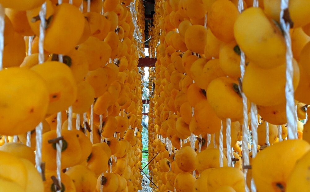 【ふるさと納税】 紅干し柿 170g 5~8個 1パック 果物 フルーツ ドライフルーツ ほし柿 和菓子 送料無料 お取り寄せグルメ 産地直送 山形県 上山市 0033-2508 サムネイル3