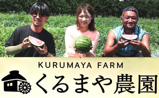 【ふるさと納税】 【フルーツ王国直送！】山形の小玉すいか ( ひとりじめ BONBON ) 1個 2.5kg 以上 3L サイズ 以上 果物 フルーツ 山形県 上山市 0033-2601 - 画像2